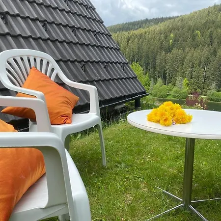 Haus Adler - Komplettes Am Badesee * Эрцгрубе